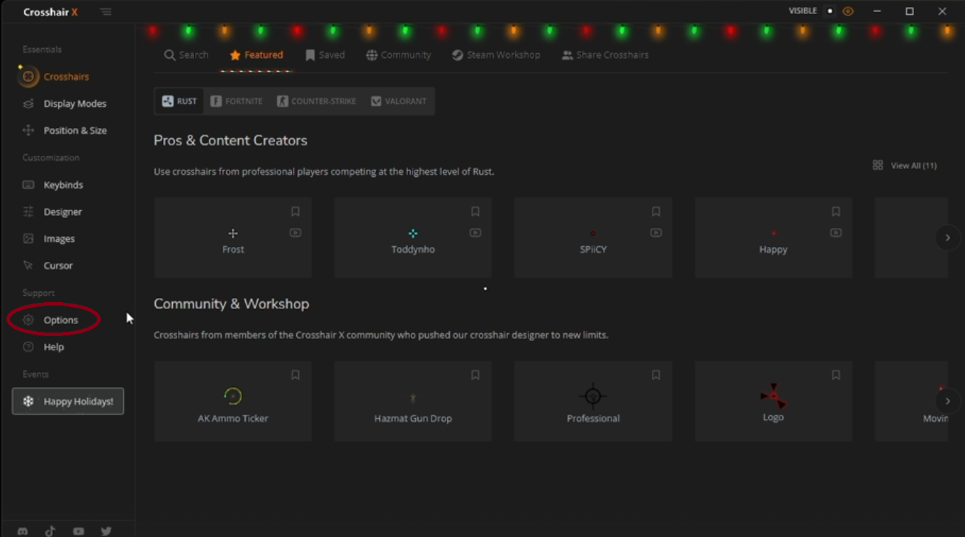 Crosshair X with Options circled in the left menu